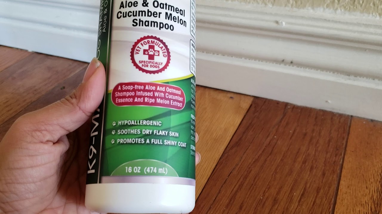 Oatmeal dog shampoo and conditioner for dogs with allergies YouTube