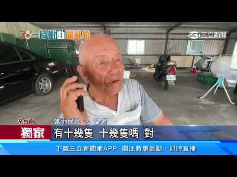 騎單車遭野狗竄出追趕  學生噴趴對向車道｜三立新聞網 SETN.com