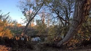 Quiet Fall Walk Next to the River