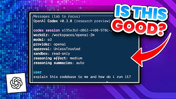 What We Found with OpenAI