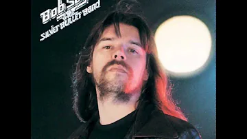 Bob Seger -  Rock n Roll Never Forgets