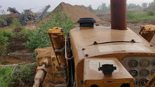 Cat d9g pushes a small tree over.