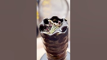 COLLECTING & USING Dynavap