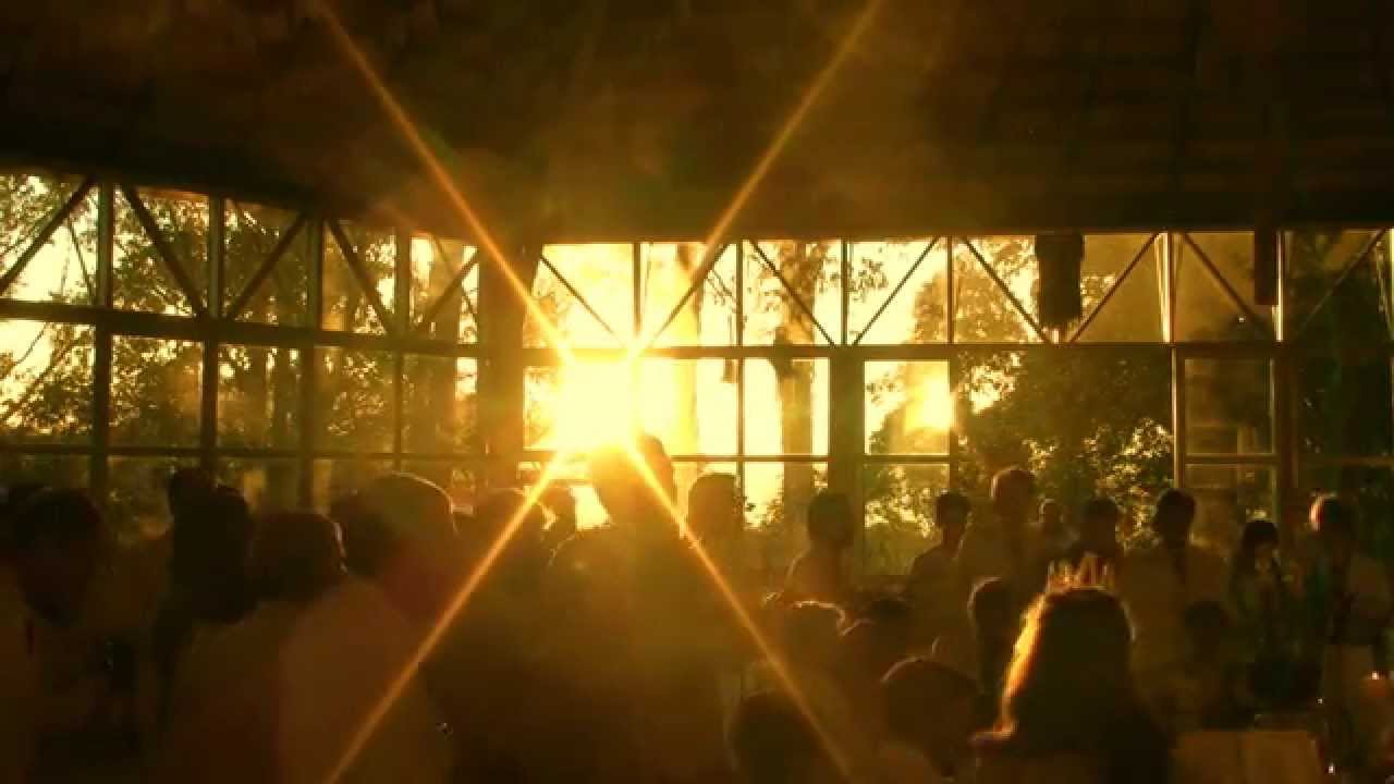 FLOR DAS AGUAS - FLOR DE JAGUBE - SÃO JOÃO 2015