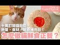 貓鮮食的正餐怎麼做 ?? 營養補充品大公開【好味貓廚房特別篇】