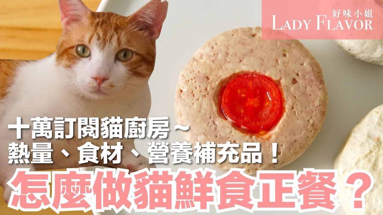 貓鮮食的正餐怎麼做 ?? 營養補充品大公開【好味貓廚房特別篇】