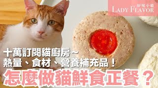 貓鮮食的正餐怎麼做?? 營養補充品大公開【好味貓廚房特別篇】 