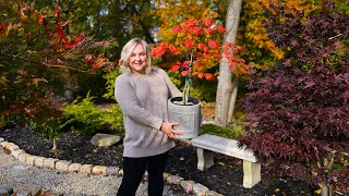 Fall Garden Tour: Glowing Gomphrena, Flowers for the Autumn Garden \& Vibrant Foliage. October 2023