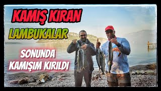 Kamış Kıran Lambuka Avı. Jig İle Lambuka. Kamışım Kırıldı