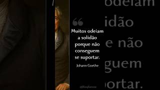 Johann Goethe #7506 #music #portugal #luisaeadriano #autocaravanas #rc_bando