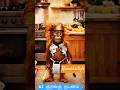 ai monkey funny drum dance #monkeyvideo #ai #trandingshorts