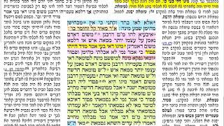 הדף היומי מסכת כריתות דף יב Daf yomi Kereisos daf 12