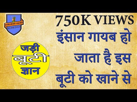 वीडियो: हवा सुखाने जड़ी बूटियों