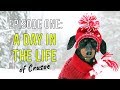 Episode One: A Day in the Life of Crusoe