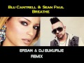Ersan & DJ BUKUrije - Breathe  - REMIX (Tallava Remix)