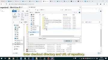 How to integrate SVN in ZenTao Cloud