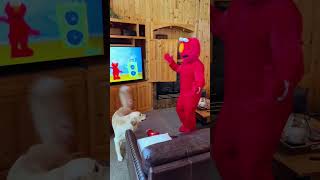 Dog Meets Elmo – Too Cute to Handle! 🐶❤️ Dog Meets Elmo – Too Cute to Handle! 🐶❤️