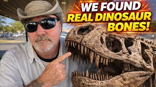 We Found REAL Dinosaur Bones At A Fossil Convention...And Some Were Worth Thousands!!!