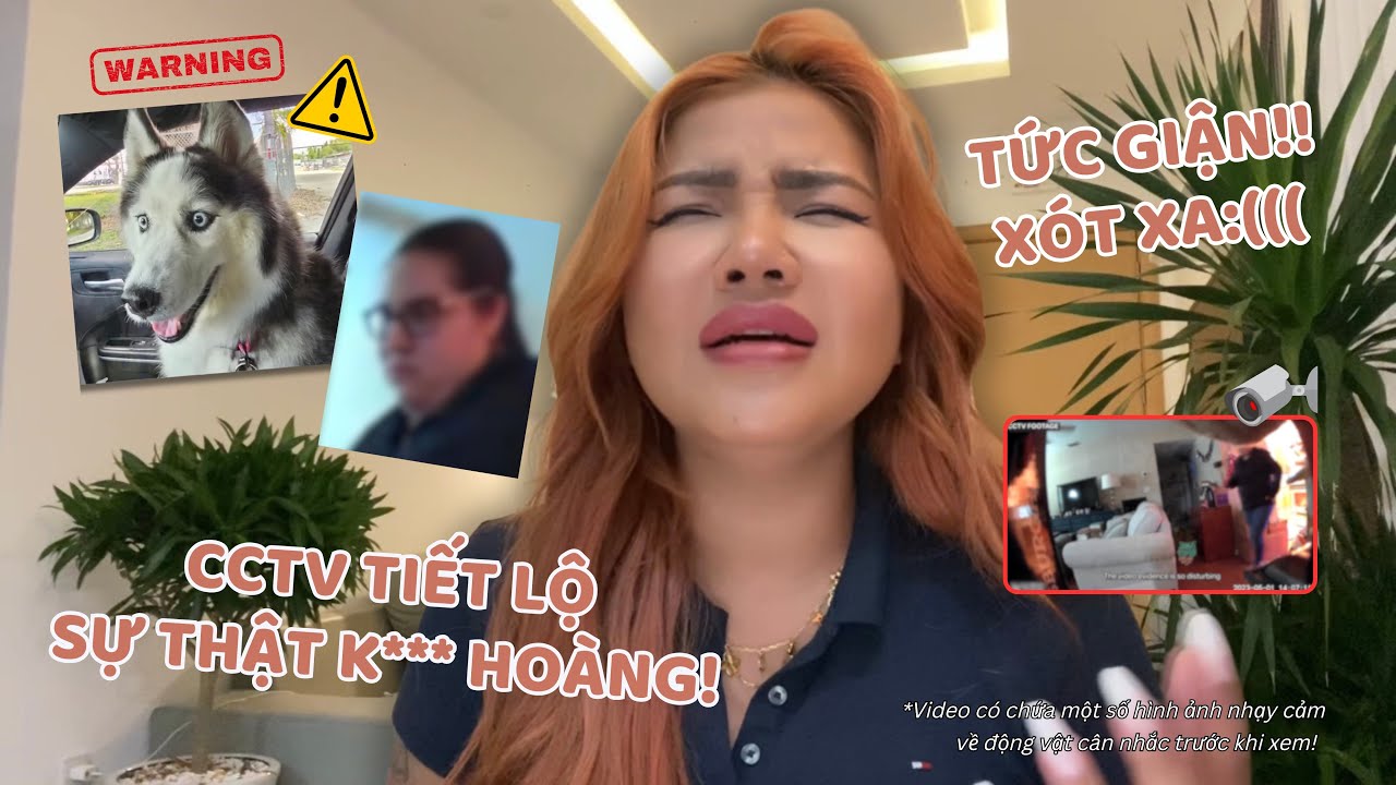 CCTV GIẤU KÍN TIẾT LỘ SỰ THẬT KINH HOÀNG VỀ CHÚ CHÓ MAYA VÀ CÔ NGƯỜI YÊU TRẺ!!