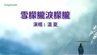 雪朦胧泪朦胧-温夏-演唱 KARAOKE