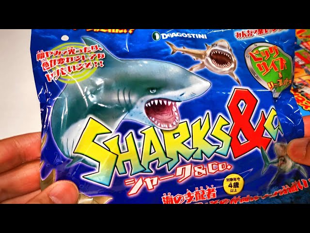 Hammer head shark・ヒラシュモクザメ Toy