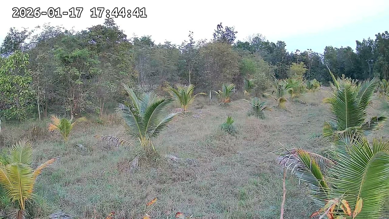 ‎17 ‎มกราคม ‎2569, ‏‎