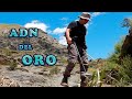 5 Pepitas de ORO "UNA Y OTRA VEZ" .Mi Nuevo RÉCORD  Gold Rush