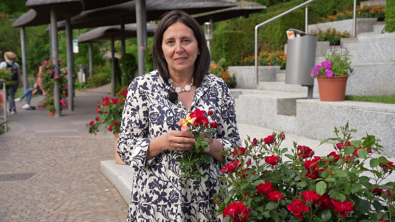 Blumen und Co „Rosen – Die duftenden Blumen der Liebe“