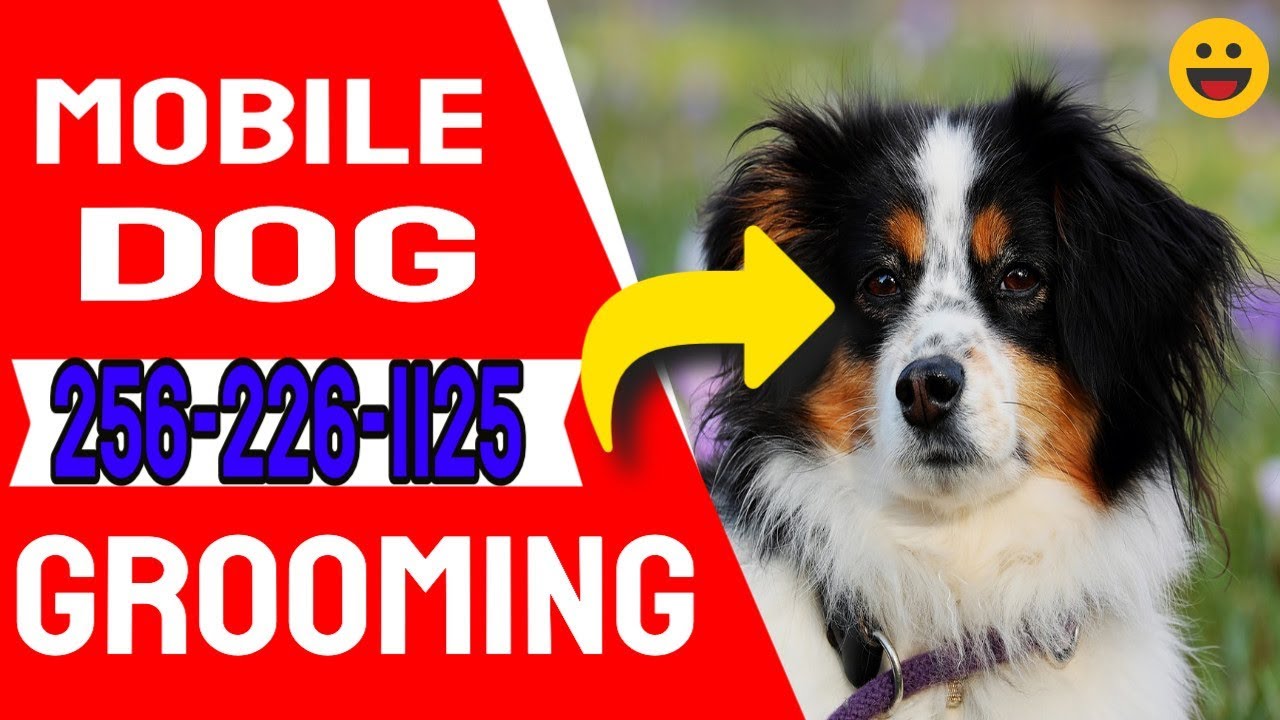 Mobile Dog Nail Clipping Owens Cross Roads Al Call 2562261125