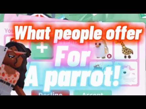 What People Offer For A Parrot Roblox Adopt Me Youtube - roblox blus cafe winter awards meet and eat