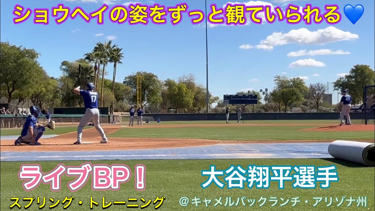 【ショウヘイの姿をずっと観ていられる💙】ライブBP！スプリング・トレーニング@キャメルバックランチ・アリゾナ州2/20/26   #大谷翔平#ohtani   #dodgers 