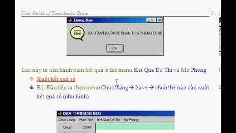 User Guide of Timoshenko Beam
