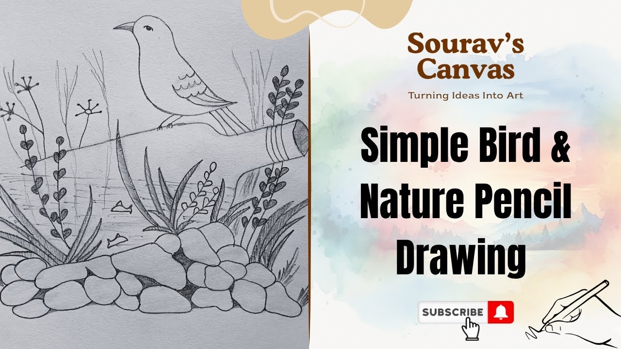 Simple Bird & Nature Pencil Drawing ✨