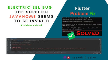 Electric Eel bug | The supplied javaHome seems to be invalid issue fix in Android Studio | #flutter