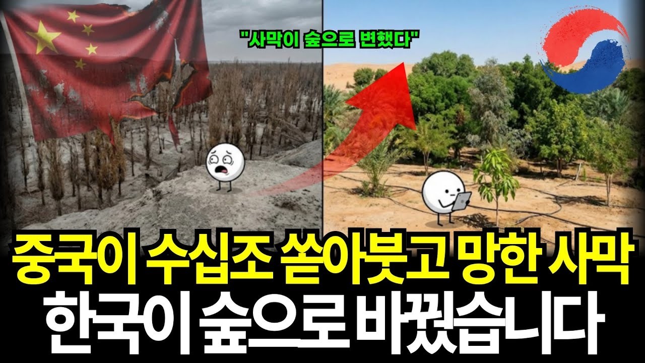 06 중국 수십조원 쏟아붓고 망한 사막, 한국이 결국 숲으로 바꿨습니다