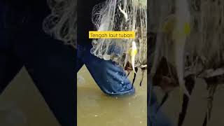 rejeki nomplok jala ikan di tengah laut tuban dekat ikan misterius