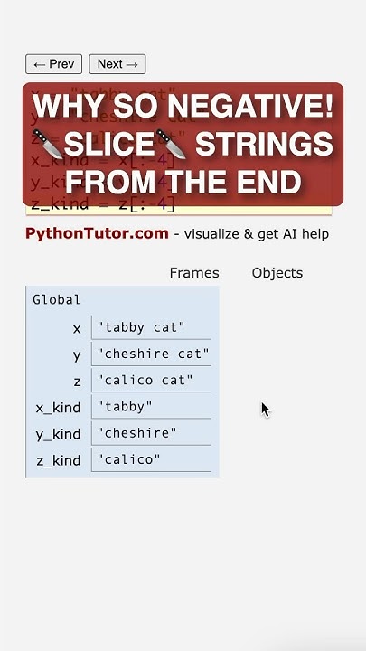 don't be so NEGATIVE when slicing python strings - pythontutor.com ...