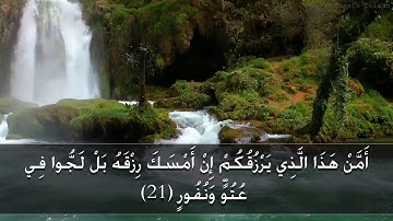 سورة الملك حاتم فريد الواعر