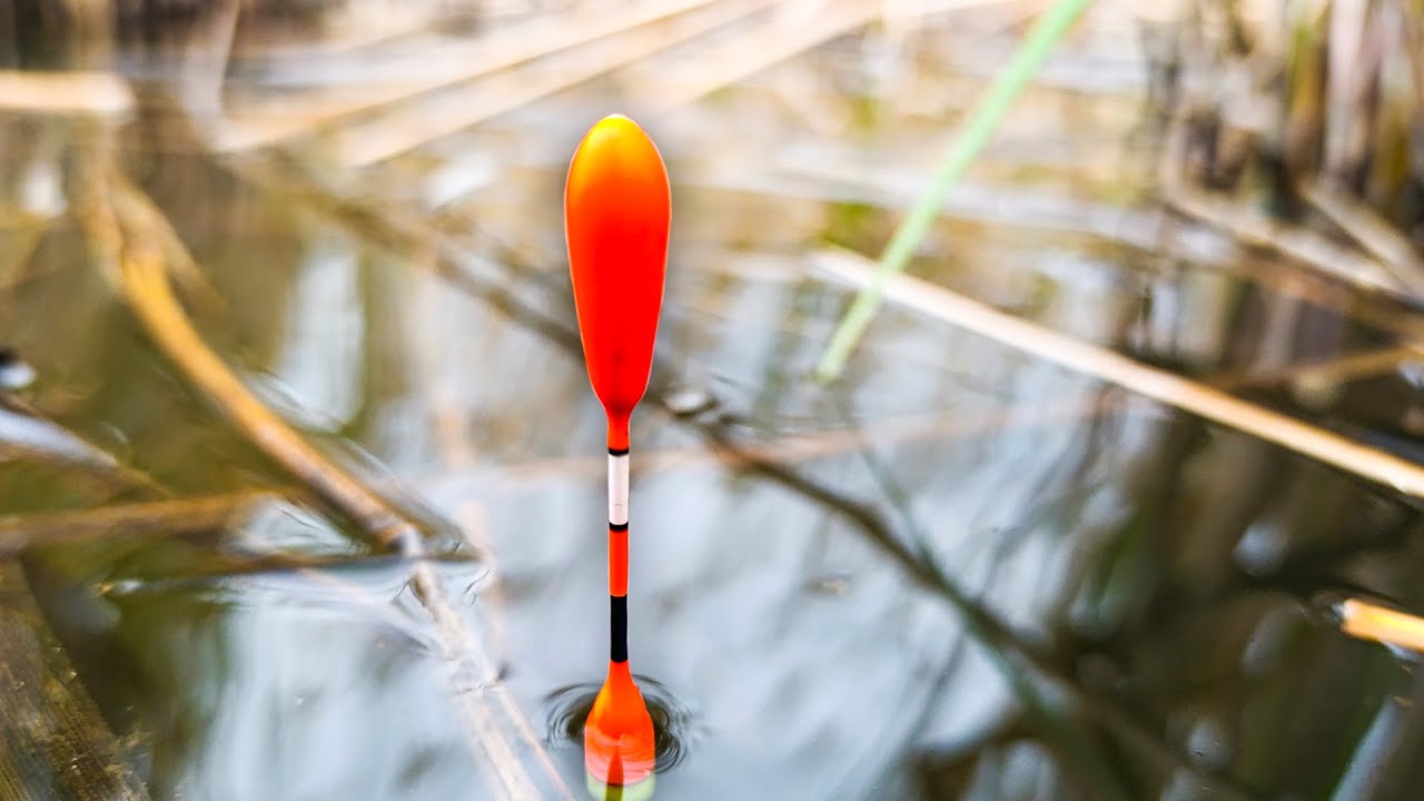 В луже 20 СМ ГЛУБИНЫ, и клюют РЕАЛЬНЫЕ ЛАПТИ!! Забросил поплавок в ЛУЖУ, и наловил!!