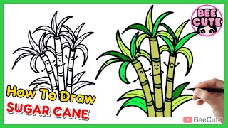 How To Draw Sugar Cane Easy | Draw and Coloring Sugar Cane Plant | Bee Cute