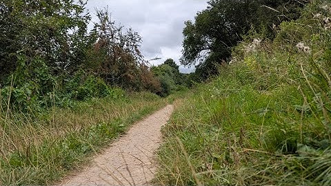 We Found Kent’s Most Peaceful Hidden Gem | Cinematic Dog Walk in Loose Valley