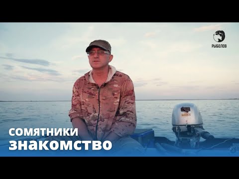 Знакомство // СОМЯТНИКИ // Серия 1