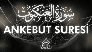 Ankebût Suresi Kıraati | Enes Yelgün