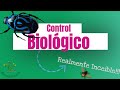 Insectos hongos y bacterias VS otros Insectos hongos y bacterias