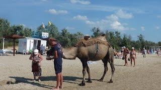 ❤ LOVE Анапа ❤ Джемете 2016(ОТДЫХ 2016. Мини ГОСТИНИЦА в центре Анапы До Черного ОТДЫХ 2016. Мини ГОСТИНИЦА в центре Анапы До Черного моря..., 2016-07-03T22:21:31.000Z)