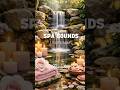 Spa Sounds Deep Calm,Bamboo Relaxing Water Music for Meditation #bamboorelaxation #watersounds