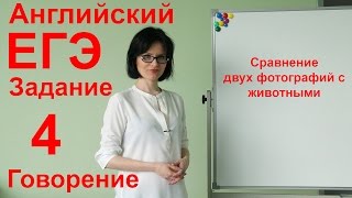 ЕГЭ Английский! Говорение 4 задание. Сравнение животных. ЕГЭ Английский! Говорение 4 задание. Сравнение животных.