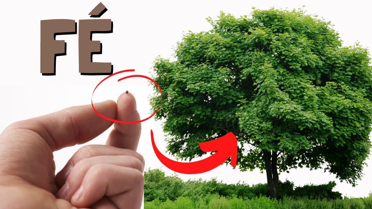 CÓMO TENER UNA GRAN FE EN DIOS (Fe como un grano de mostaza) YouTube CÓMO TENER UNA GRAN FE EN DIOS (Fe como un grano de mostaza) YouTube