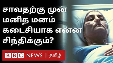 Death-க்கு முன் Last-ஆ Brain-ல என்ன நடக்கும் தெரியுமா? சுவாரஸ்ய தகவல் | மறு பகிர்வு | BBC Tamil