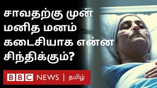 Death-க்கு முன் Last-ஆ Brain-ல என்ன நடக்கும் தெரியுமா? சுவாரஸ்ய தகவல் | மறு பகிர்வு | BBC Tamil